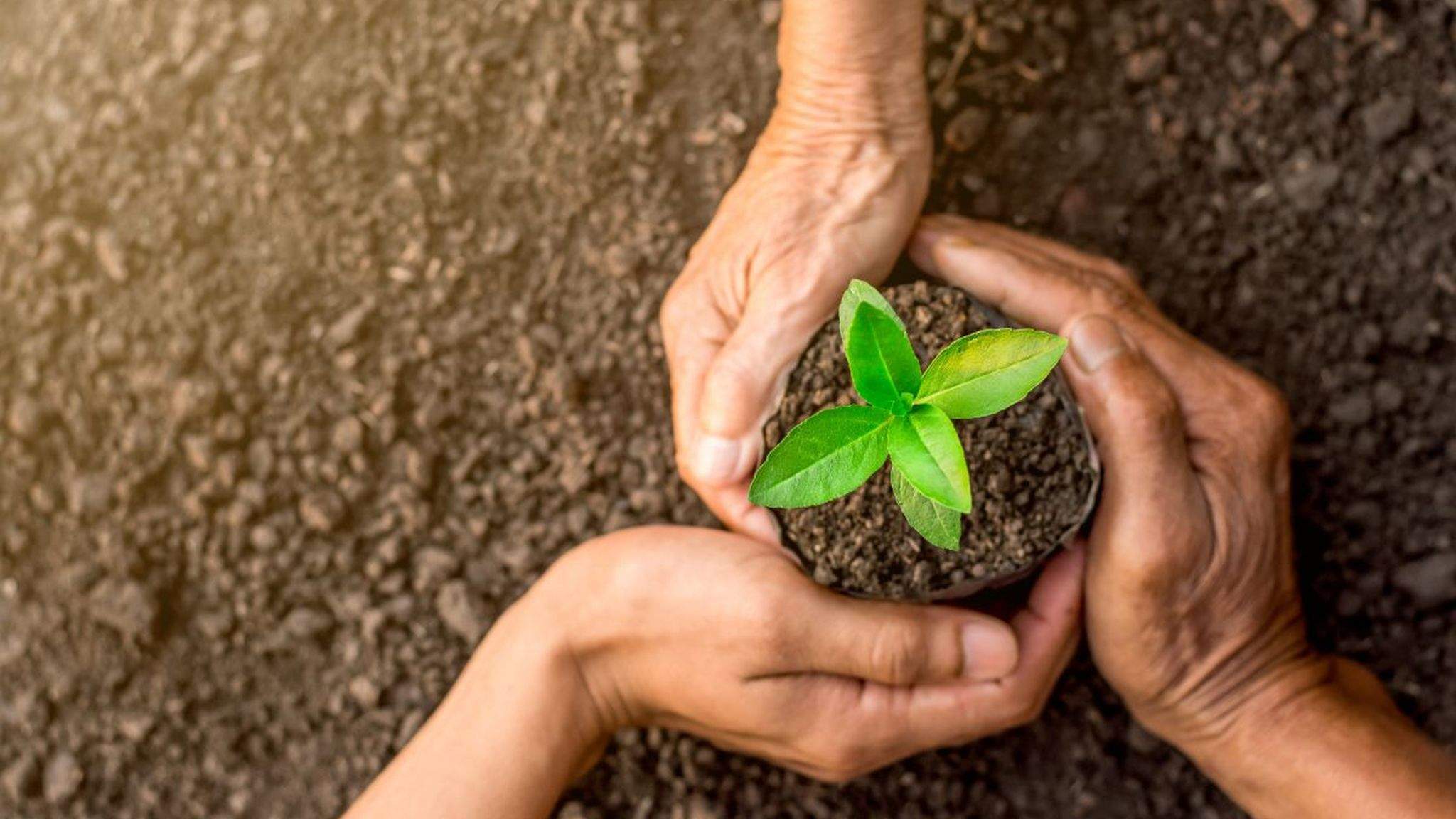 The company has invested in growing future management locally. The company has invested in growing future management locally.
